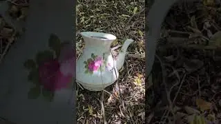 Поиск новых мест #коп2024 #travel #эквинокс #антиквариат #history #metaldetecting #900 #paristravel