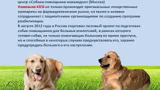 Викторина  «Служу человеку! – 33 профессии собак»