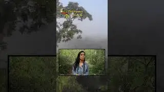 Los Médanos del Chaco - Fauna