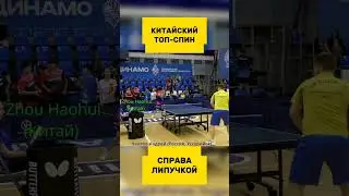 Китайский топ-спин справа липучкой Zhou Haohui #настольныйтеннис #tabletennis  #тенниснастольный