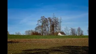 Good morning Ulm - photos from December '23