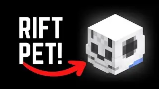 HOW TO GET A PET IN THE RIFT! (Hypixel Skyblock)