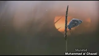 Haybat Shu'ur - Muhammad Al Ghazali - Nasheed on Prophet Muhammad SAW