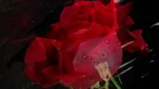 LeAnn Rimes - The Rose