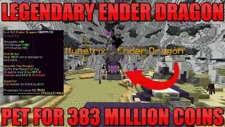 I Bought Legendary Ender Dragon Pet For 383 Million Coins | Hypixel SkyBlock