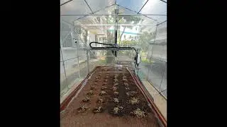 AMKP Farmbot daily Watering Sequence