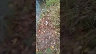 Рыбалка со спиннингом