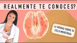 EL CICLO MENSTRUAL