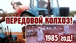 ХРОНИКА СССР!1986 ГОД!БЕЛОРУССКИЙ ПЕРЕДОВОЙ КОЛХОЗ!