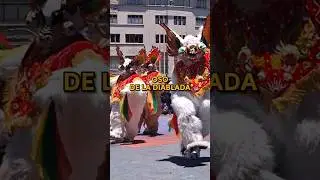 Oso de la diablada 
