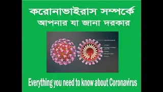 করোনাভাইরাস সম্পর্কে আপনার যা জানা দরকার