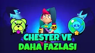 Rozet Sprey CHESTER Şöhret ve Bir de???