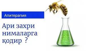 Асалари игнаси нималарга кодир