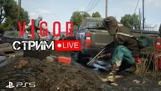 Vigor пробуем новые настройки (PS5,PS4,XBOX S/X,Switch)