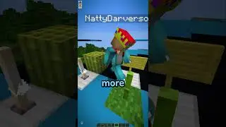 Minecraft Telepathy 52