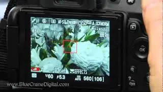Introduction to the Nikon D5100: Basic Controls