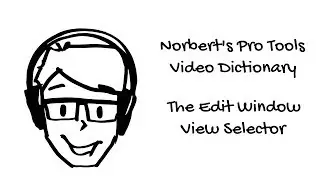 The Edit Window View Selector - Pro Tools Dictionary