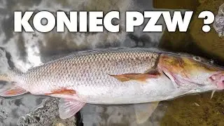 TELEWIZJA ZAORAŁA PZW !