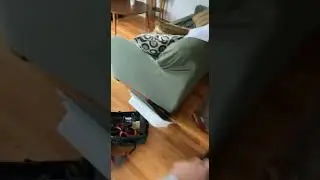 Burmese cat REACTS to owner coming home