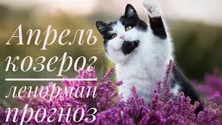 🍀КОЗЕРОГ 🍀АПРЕЛЬ 2021/Таропрогноз/Ленорман прогноз