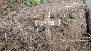Зачетные находки!!!дэус рулит!!!