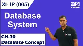Database Systems CH-10 Database Concept  Class 11 IP