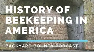 History of Beekeeping In The United States of America Dr Tammy Horn Potter  Backyard Bounty Podcast