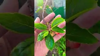 Help me how to fight this