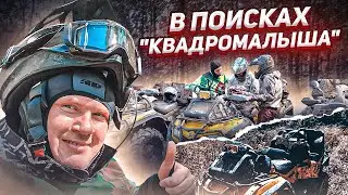 В поисках 