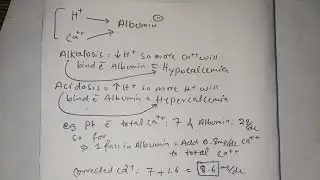 How to find corrected calcium value