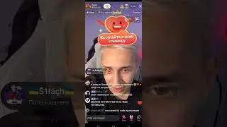 Меня зени не замечает! почему он не замечает #shortsvideo #домер  #домерзаметь #зени #зенизаметь