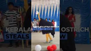 Kerala’s Little Ostrich Steals the Show! Viral Fancy Dress Performance by Adoor Boy