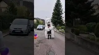 Девчонки, мои девчонки #shorts #белыймишкавгермании #большоймишка