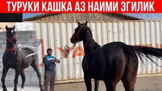 Аспи Наими Эгилик 🇹🇯