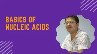 Basics of Nucleic Acids