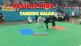 Marsya Pesilat usia Dini Galak tandingya