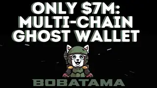 BOBATAMA - Why this $7m EVM Multi Chain Ghost Wallet project could grow to be much bigger!