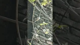 16 мая 2024 г.