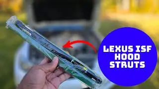 Lexus IS Hood Strut Replacement