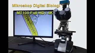 Mikroskop Digital Biologi  T108 Full HD / 4K