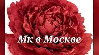 Мастер классы по цветам в Москве 21,22,23,24 сентября  2024г.