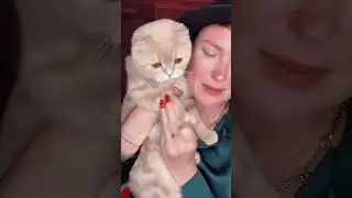 Отблагодарила 🤣 
