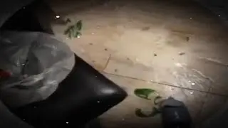 взял 2 бутылочки п*ва