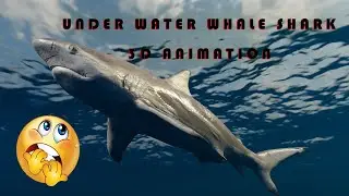 Under water Sea shark, whale 3D Animation | Blender Boy BD