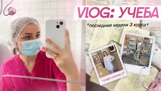 VLOG: ПОСЛЕДНЯЯ НЕДЕЛЯ 3 КУРСА В МЕДЕ