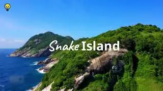 #teacherdheerajkumarsingh #brazil #snake ब्राजील साँप का रहस्य