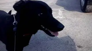 КИСА