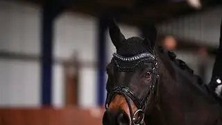 Veerle & Xander
