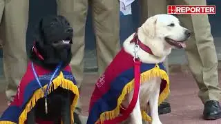 പൊലീസ് നായ്ക്കളെ വാങ്ങിയതിൽ അഴിമതി; വിശദ അന്വേഷണത്തിന് വിജിലൻസ്