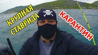 РЫБАЛКА СЕКРЕТНЫЙ СПОСОБ ЛОВЛИ ОГРОМНОЙ СТАВРИДЫ !!!!! #рыбалка #хорошийулов #ловляставриды
